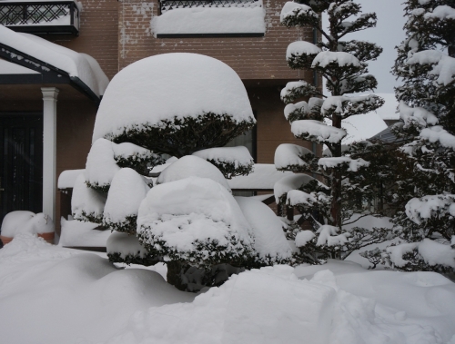 20140208大雪3151