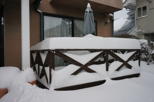 20140208大雪3150