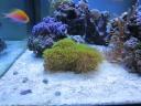 201108301.jpg