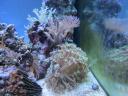 201108303.jpg