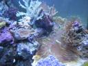 201108304.jpg