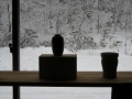 雪の朝