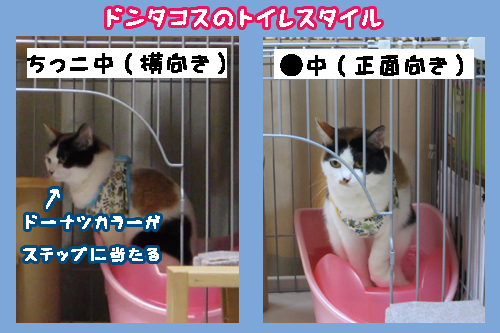 2012050301.jpg