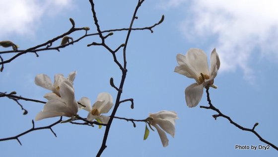 DSCF0104.jpg