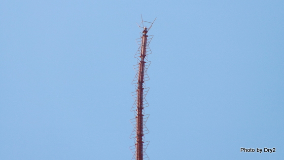 DSCF0128.jpg