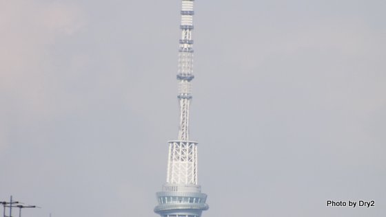 DSCF0141.jpg