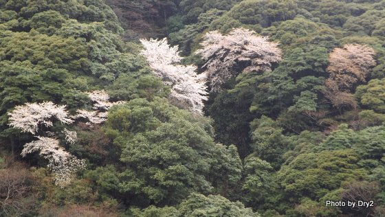 DSCF0292.jpg