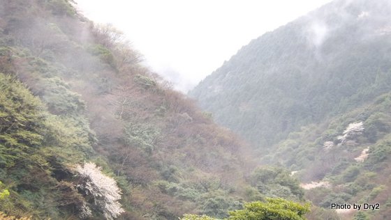 DSCF0296.jpg