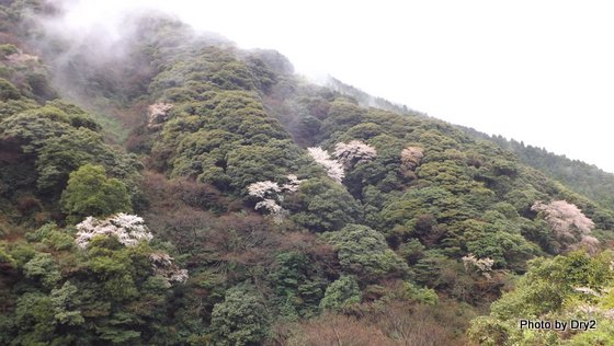 DSCF0306.jpg