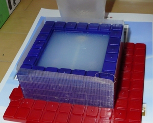 20111021a.jpg