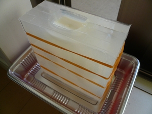 20111107.jpg