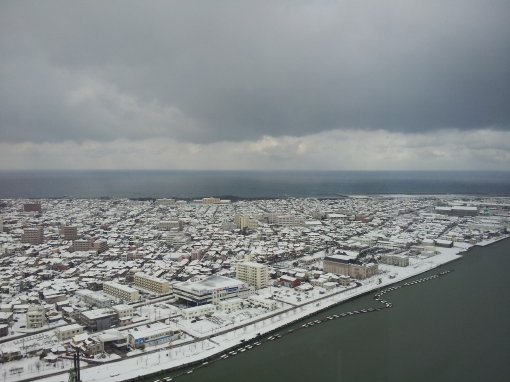 2012-02-19 12.57.53