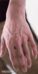 F07-hand.jpg