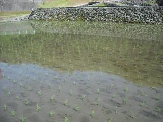 DSCF2323.jpg