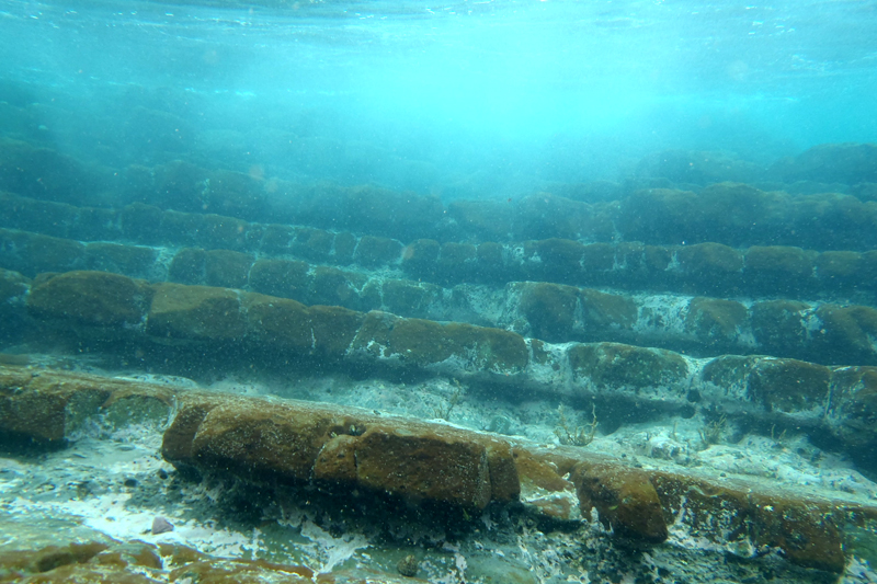 20110820_04.jpg