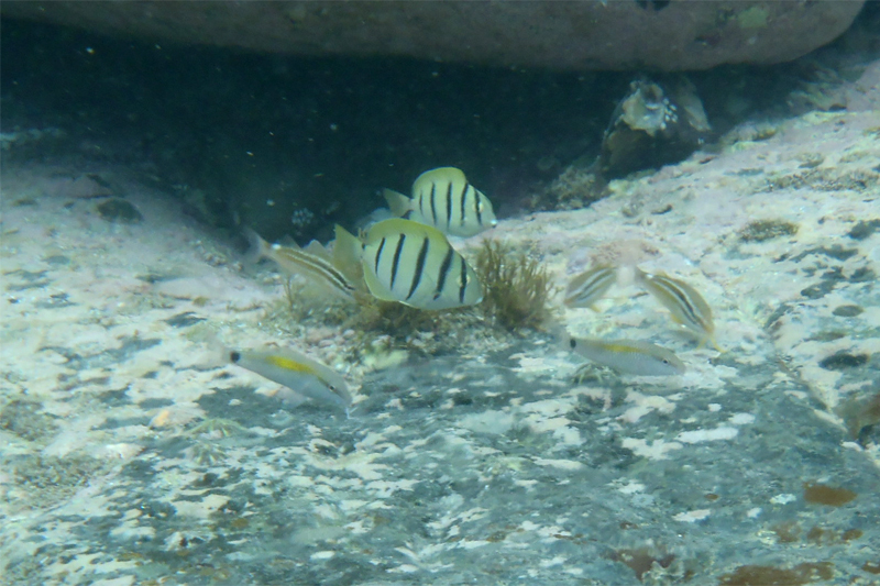 20110820_06.jpg
