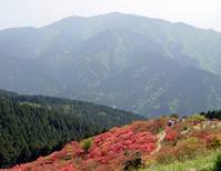 FI2605839_3E