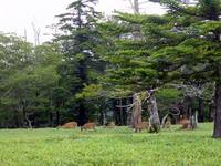 FI2605867_3E