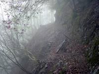 FI2605963_2E