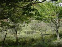FI2606002_4E