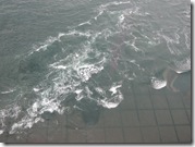 DSCN7360 DSCN7360