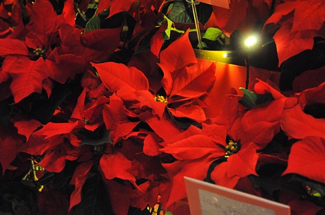 2013_12_24_2.jpg
