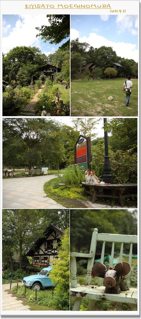 20110911dl012
