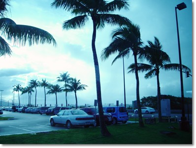 DSC04785_.jpg