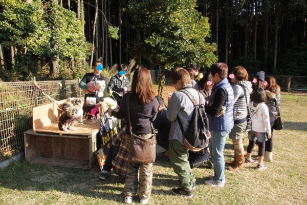 130 (600x400)