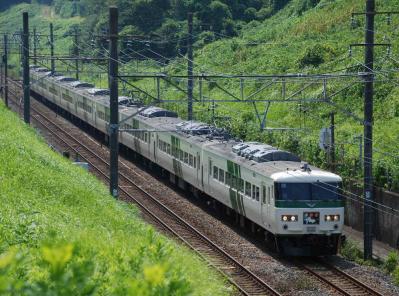 緑の中を走り抜ける緑のストライプ