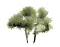 treeのコピー