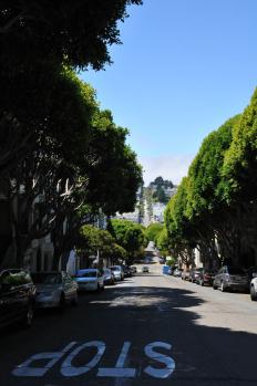 11SFO_07.jpg
