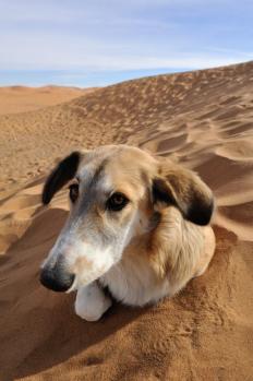 12Merzouga_19.jpg