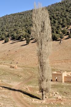 12Morocco_07.jpg