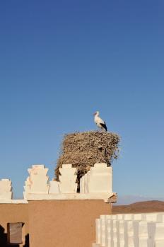 12Ouarzazate_24.jpg