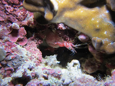 IMG_2968.jpg