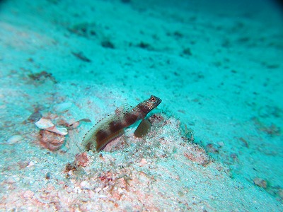 IMG_2995.jpg