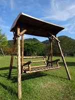 DSC03483.jpg