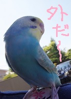 DSC03559.jpg