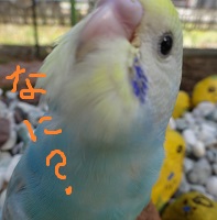DSC03569.jpg