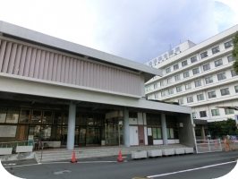 みかんツリー13