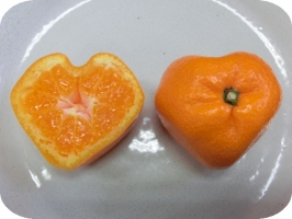 みなっと02