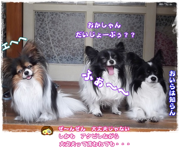 1DSCF7225.jpg