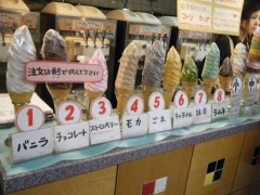 DSCF9398.jpg
