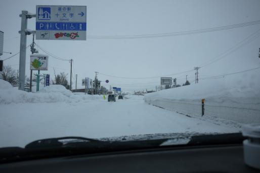 P1010444.jpg