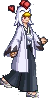 2011110a2.png