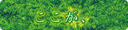 elvengbanner.gif