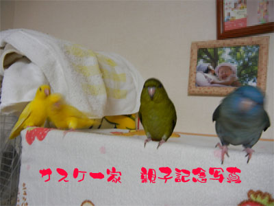 20120426-7