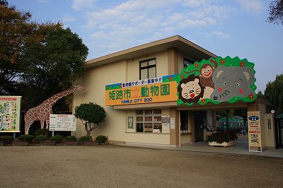 081117-1.jpg