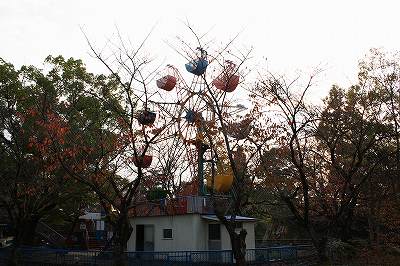081117-10.jpg